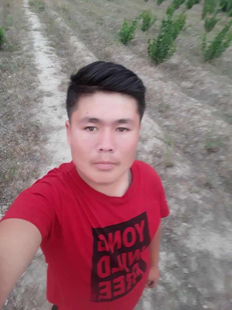  26532383  , 22 ,    