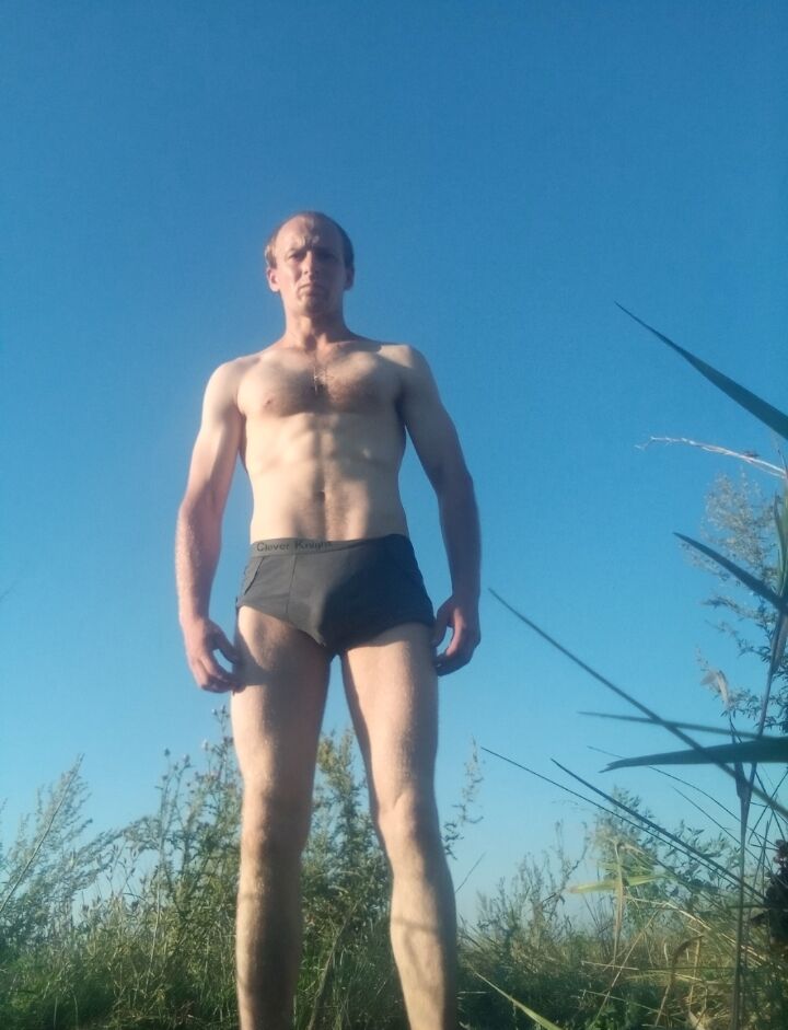  36654563  , 31 ,    