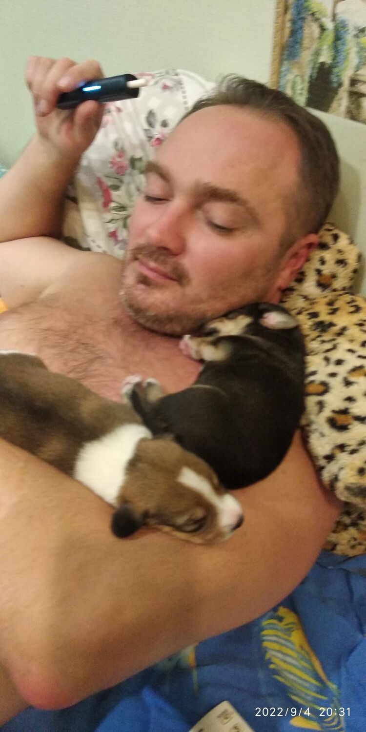 ���������� �����, ���� ������� ����, 42 ����, ������������ ��� ����� � ���������, c�������� ���������