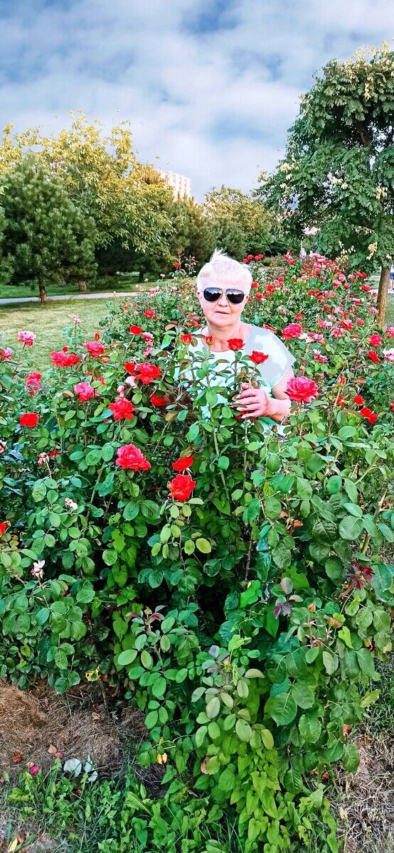 ���������� ������, ���� ������� �������, 63 ����, ������������ ��� ����� � ���������, c�������� ���������