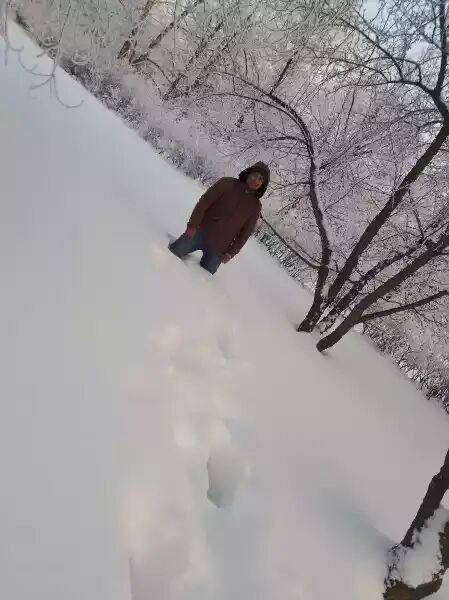 ���������� ���������� �����, ���� ������� �����, 31 ���, ������������ ��� ����� � ���������, c�������� ���������, ���������