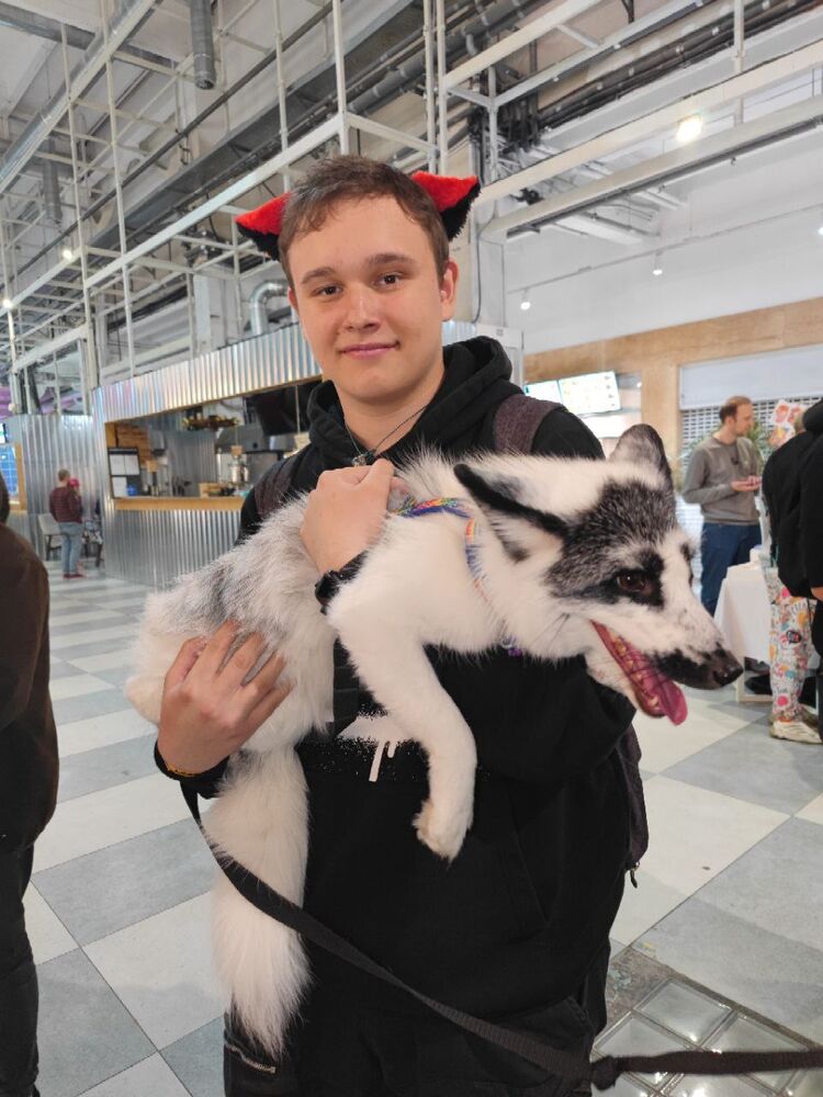 ���������� ������, ���� ����� ��������, 20 ���, ������������ ��� ������, ����� � ���������