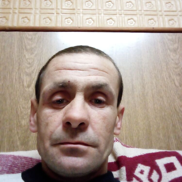  40373793  , 40 ,    