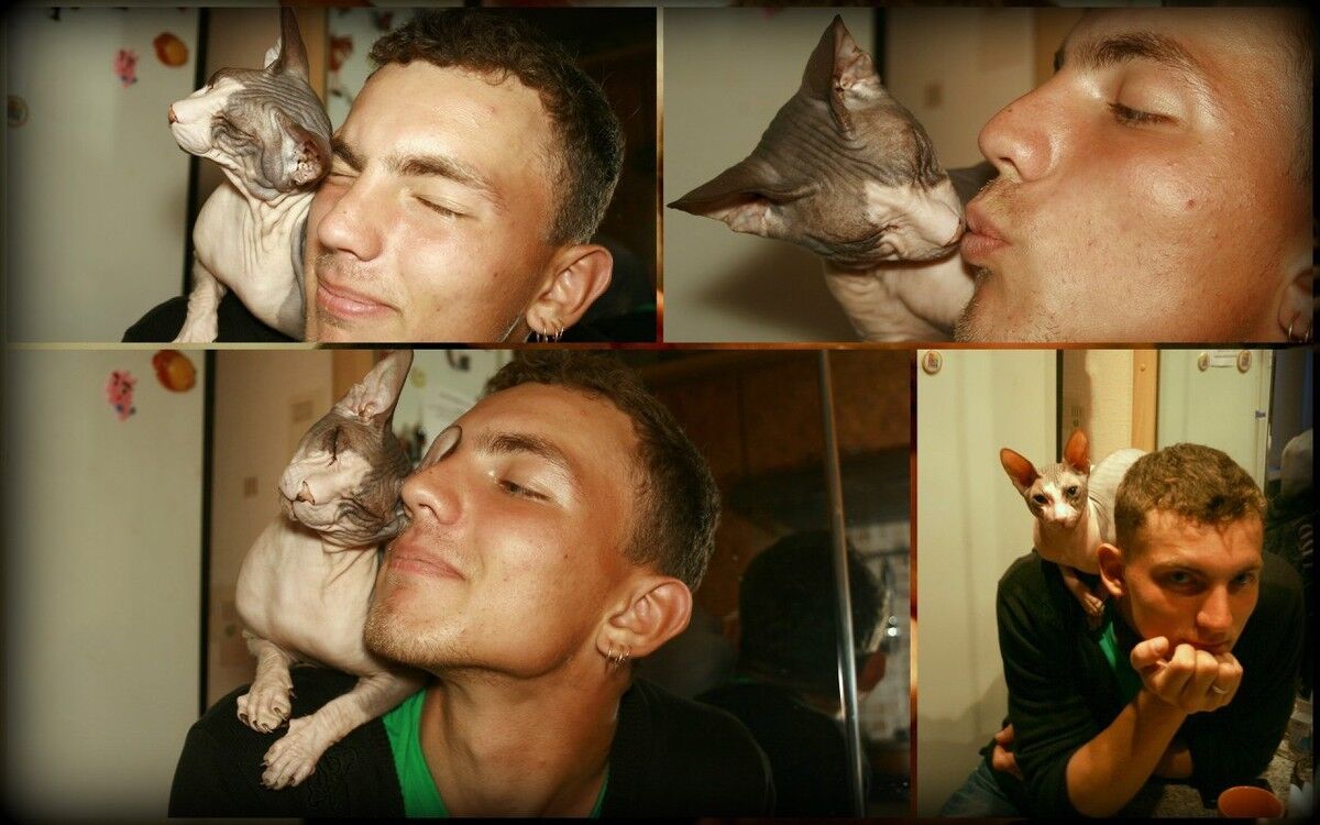 ���� 16399213 ������� ����, 35 ���, ���� ���������� � �����-����������