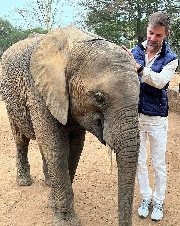 ���������� �������, ���� ������� ������, 41 ���, ������������ ��� ������, ����� � ���������, c�������� ���������, ���������