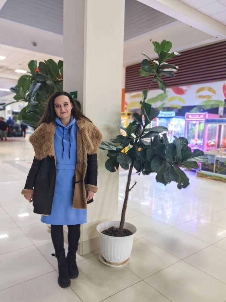 ���� 55587333 ������� �����, 47 ���, ���� ���������� � ������