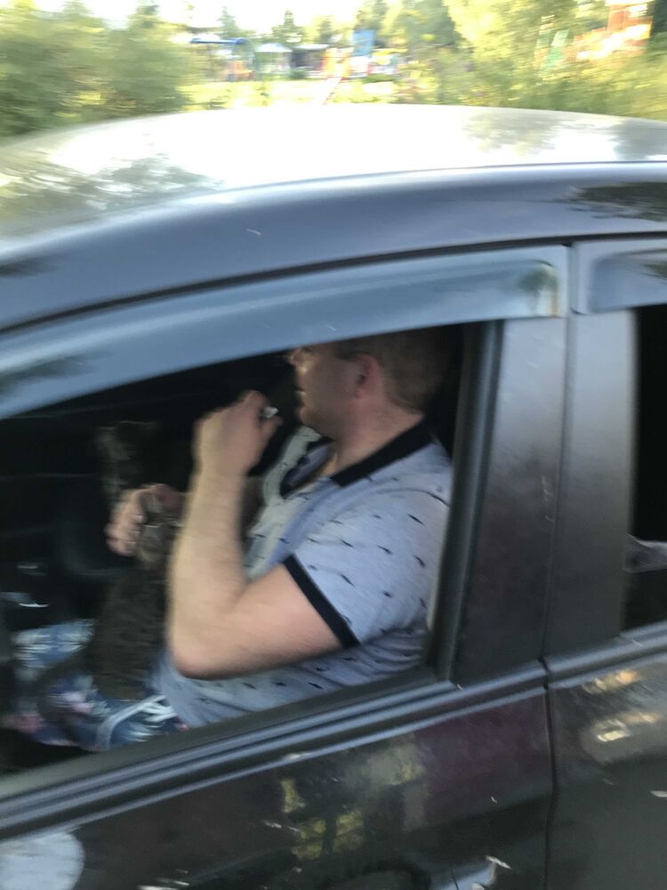 ���������� ����-�������, ���� ������� ��������, 28 ���, ������������ ��� ������, ����� � ���������