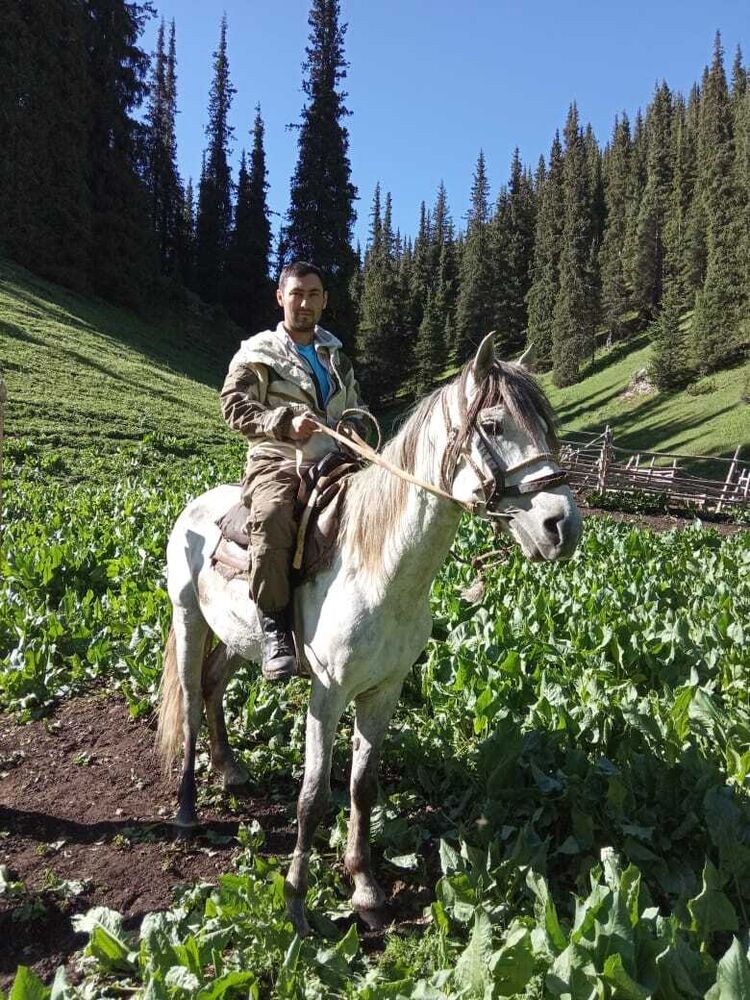 ���������� ������, ���� ������� ������, 31 ���, ������������ ��� ������