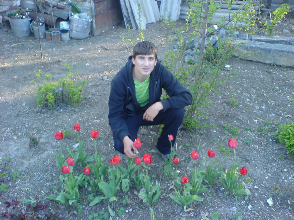  ,   Denic, 37 ,   ,   , c 