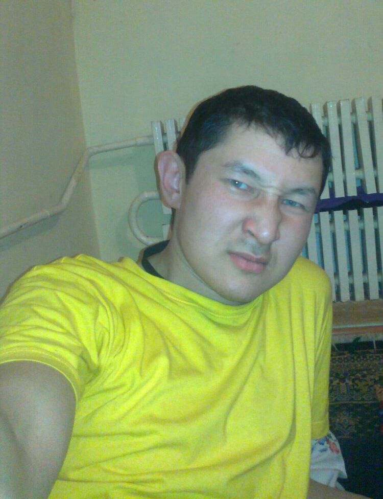  20534453  , 41 ,    