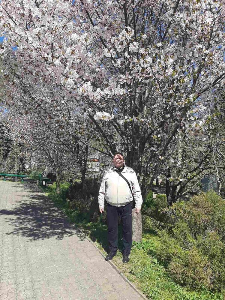  ,   , 66 ,   c 