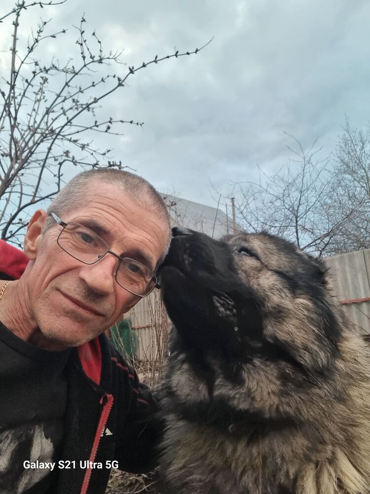  ,   , 56 ,   ,   