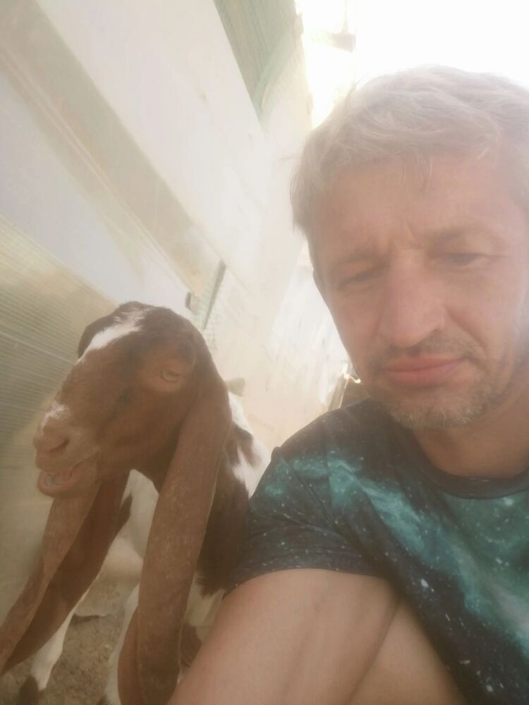  ,   , 43 ,   ,   