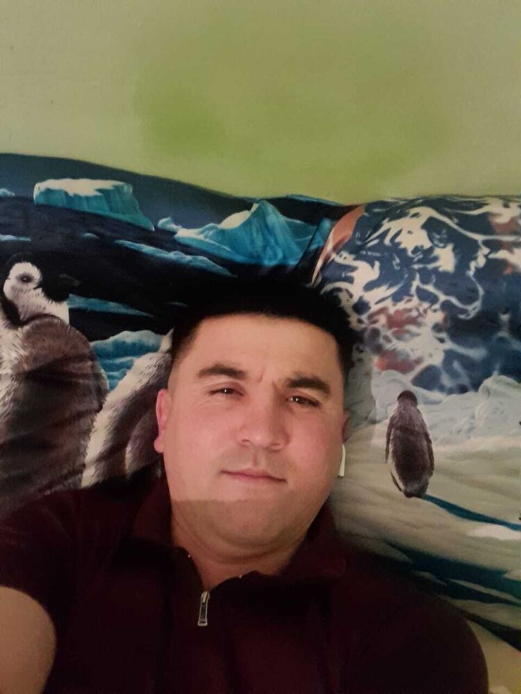  37178623  , 40 ,    