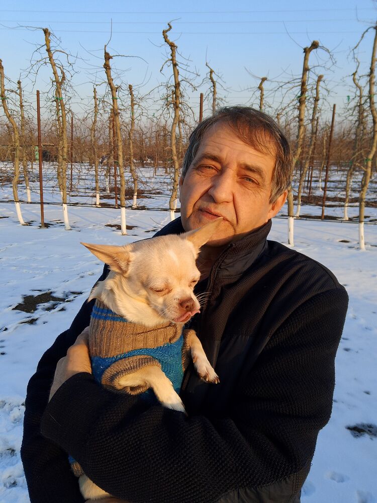 ���� 50049133 ������� ������, 54 ����, ���� ���������� � ���������-��-������