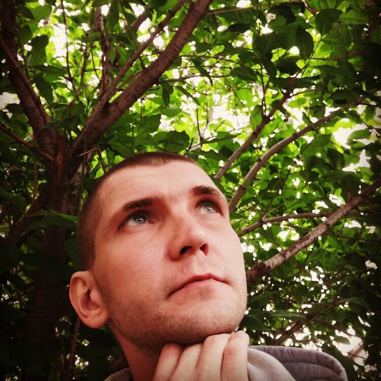 ���������� ����������, ���� ������� ���������, 38 ���, ������������ ��� ������, ����� � ���������