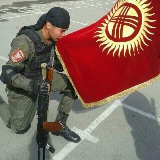 ���� 56113333 ������� �����, 35 ���, ���� ���������� � ���