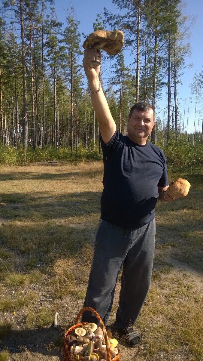  5017443  Vladimir, 61 ,    -