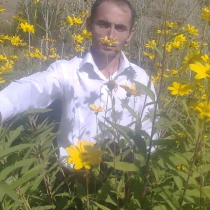  ,   , 41 ,   ,   