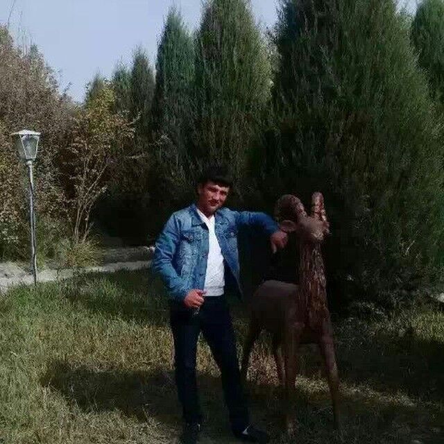  ,   Doston, 31 ,   ,   , c 