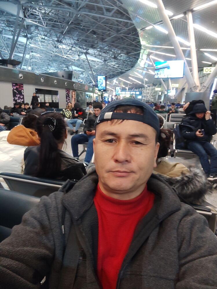 ���� 42826073 ������� ����������, 48 ���, ���� ���������� � ������