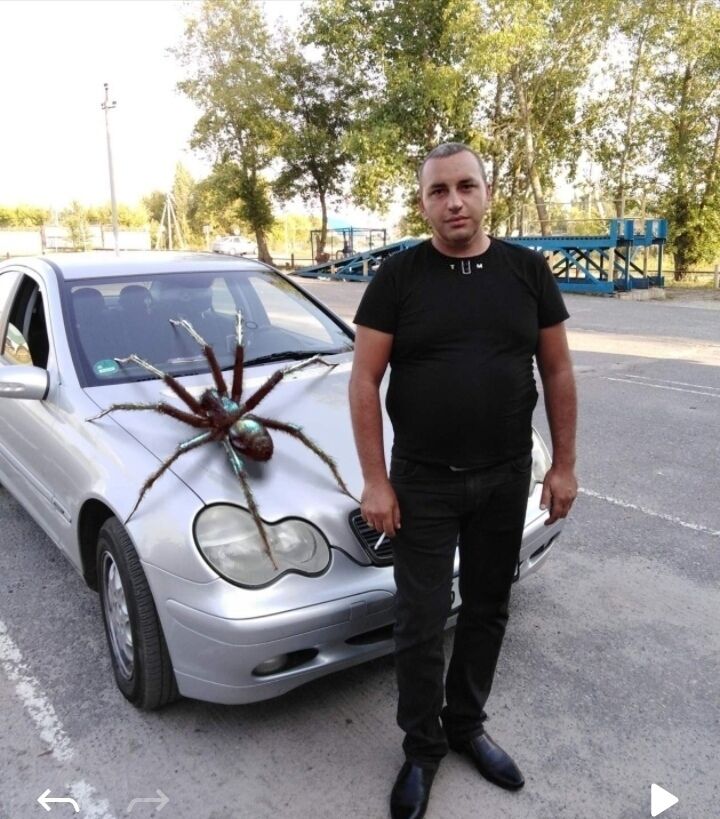  27946323  , 42 ,     