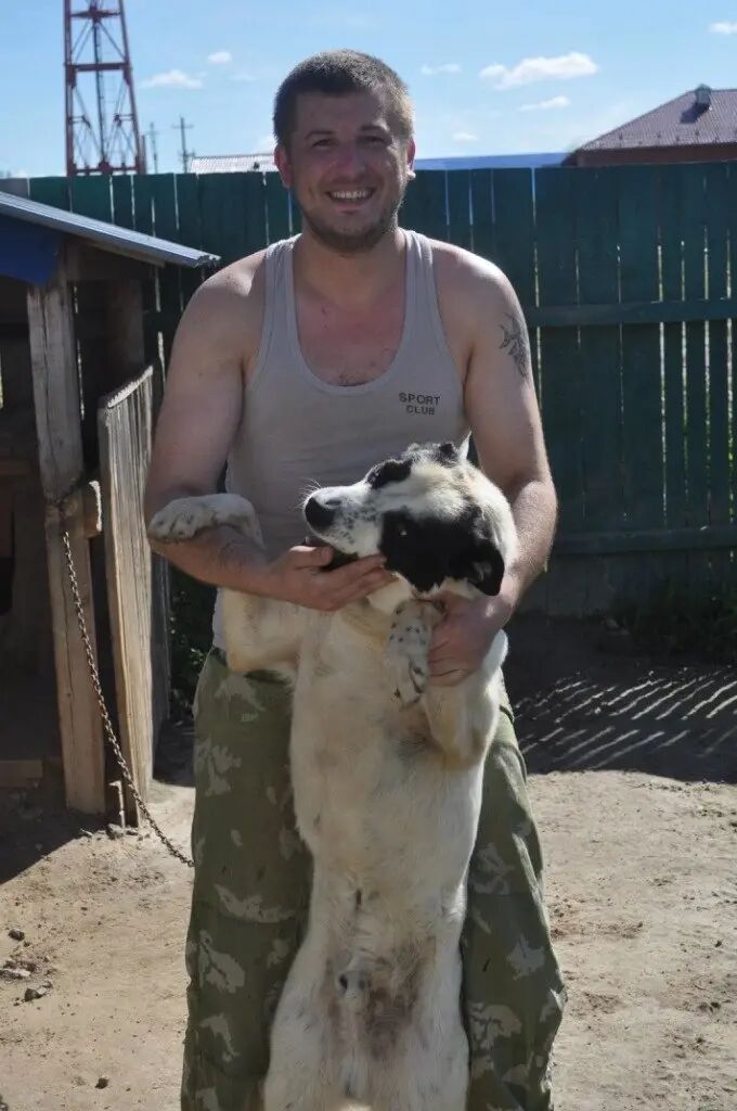  38773993  , 40 ,    --