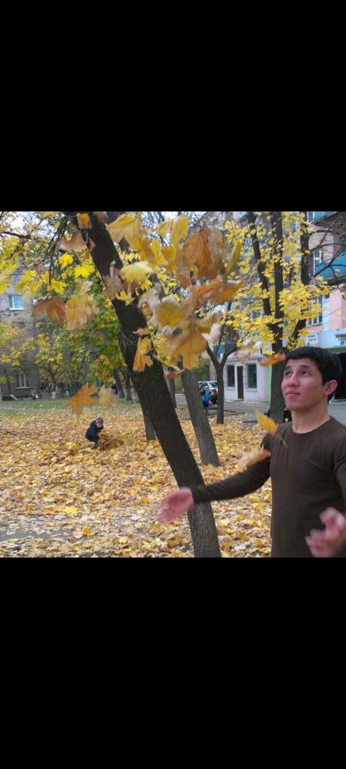 ���� 55205363 ������� �����, 31 ���, ���� ���������� � ����������