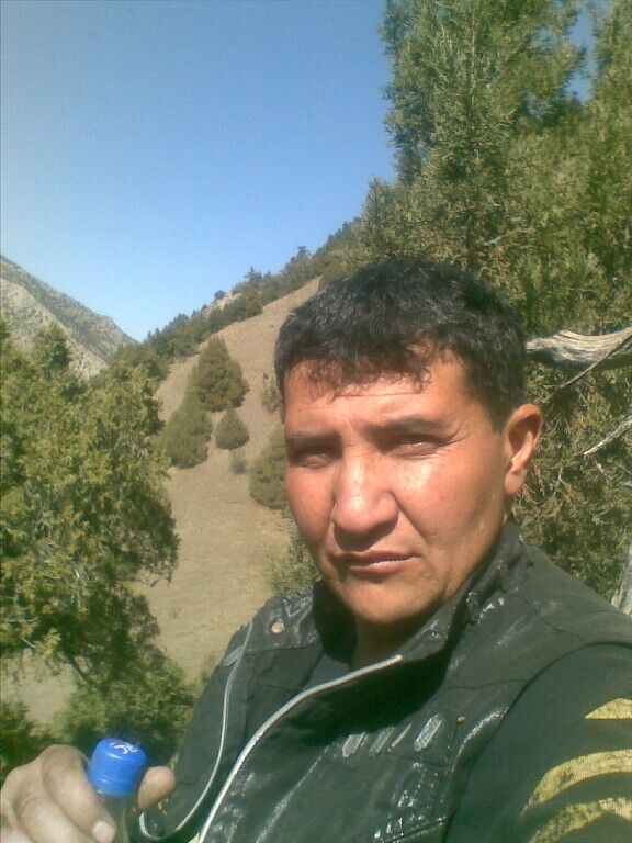  50374553  , 46 ,    