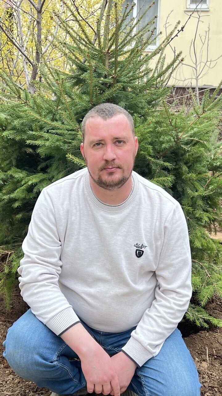 ���� 56154153 ������� ������, 40 ���, ���� ���������� � �����