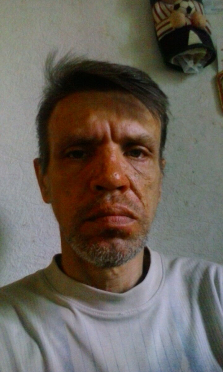  8173643  , 55 ,    