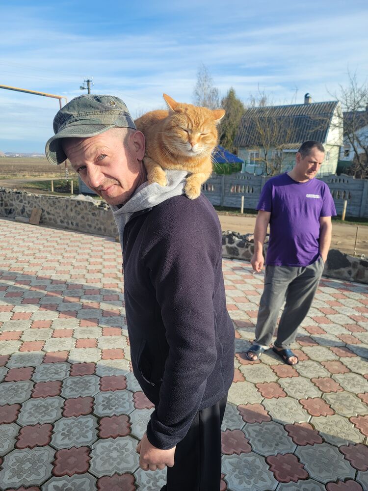 ���� 51270043 ������� ������, 54 ����, ���� ���������� � ������