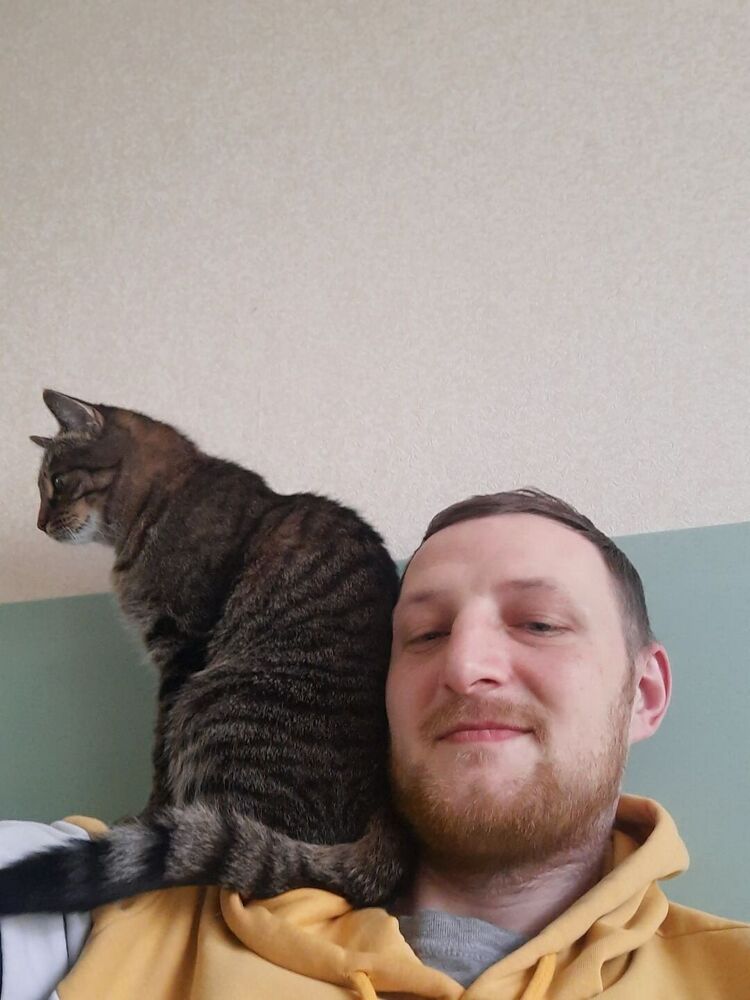 ���������� �����, ���� ������� �������, 30 ���, ������������ ��� ������, ����� � ���������, c�������� ���������, ���������