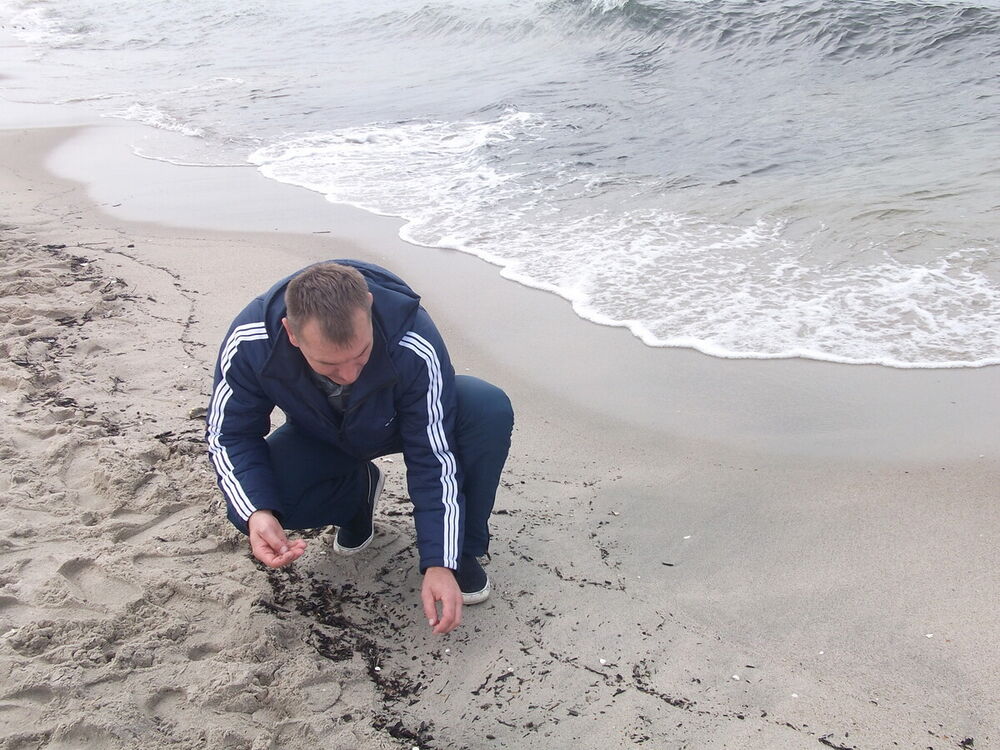 ���������� �����������, ���� ������� ������, 55 ���, ������������ ��� ������, ����� � ���������