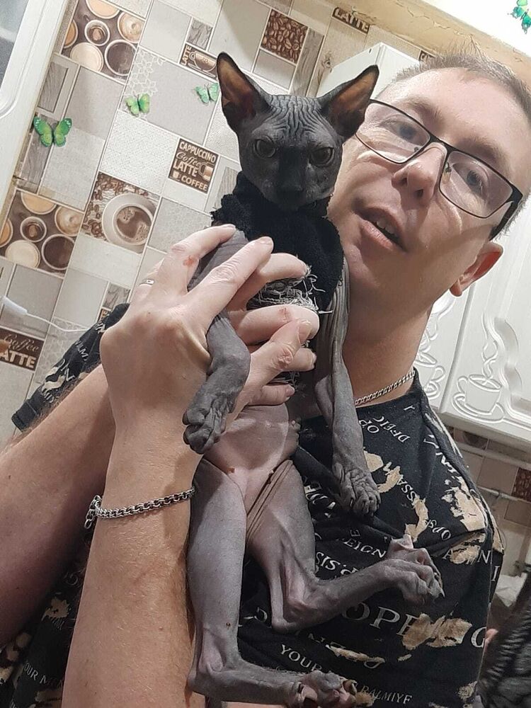 ���� 41773863 ������� ���������, 29 ���, ���� ���������� � �������