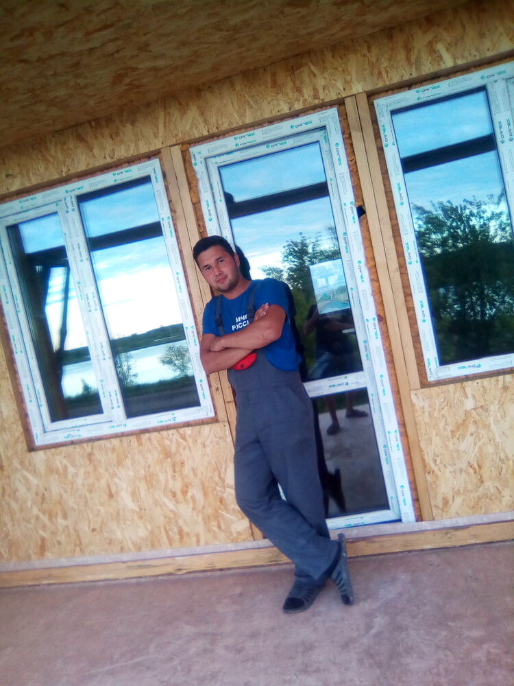  43682773  , 29 ,    