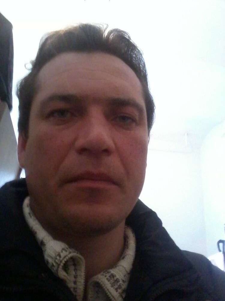  7313863  , 44 ,    