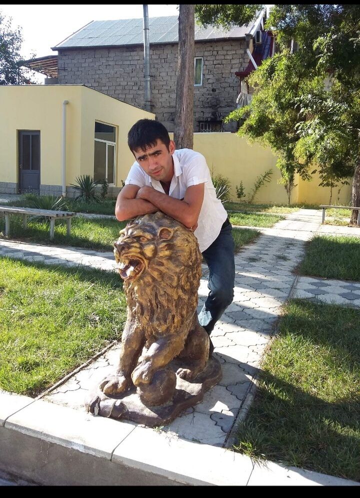 ���� 40651873 ������� ��������, 38 ���, ���� ���������� � �����������