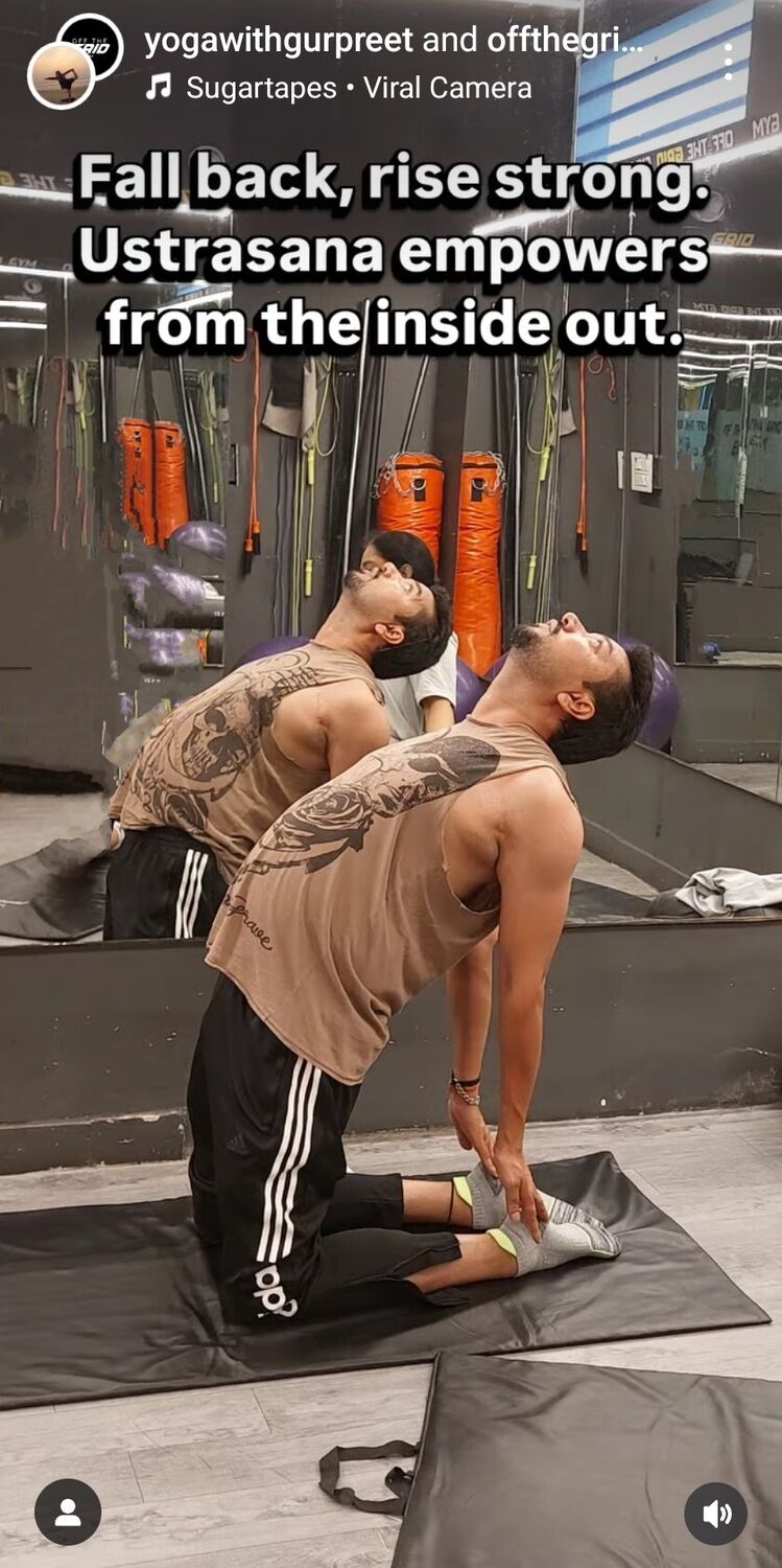 ���������� �����-���������, ���� ������� Mohit, 44 ����, ������������ ��� ������, ����� � ���������, c�������� ���������