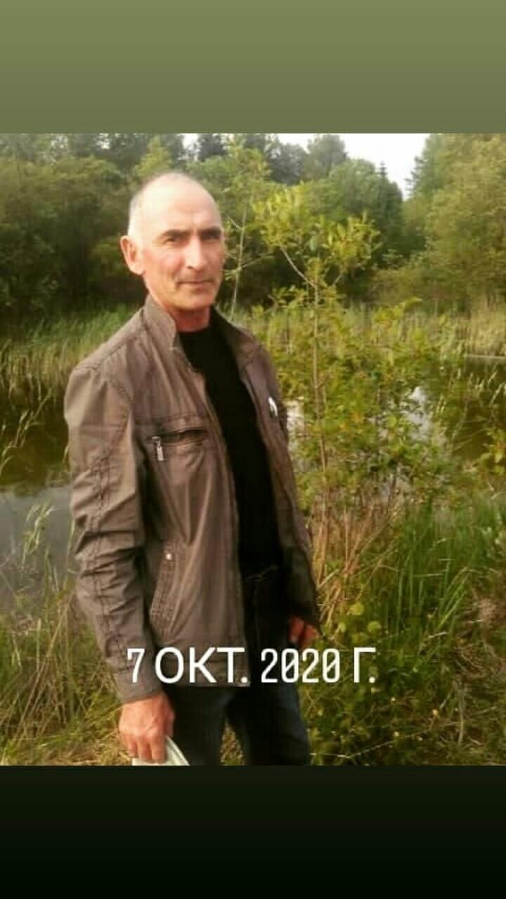  27338333  , 61 ,    