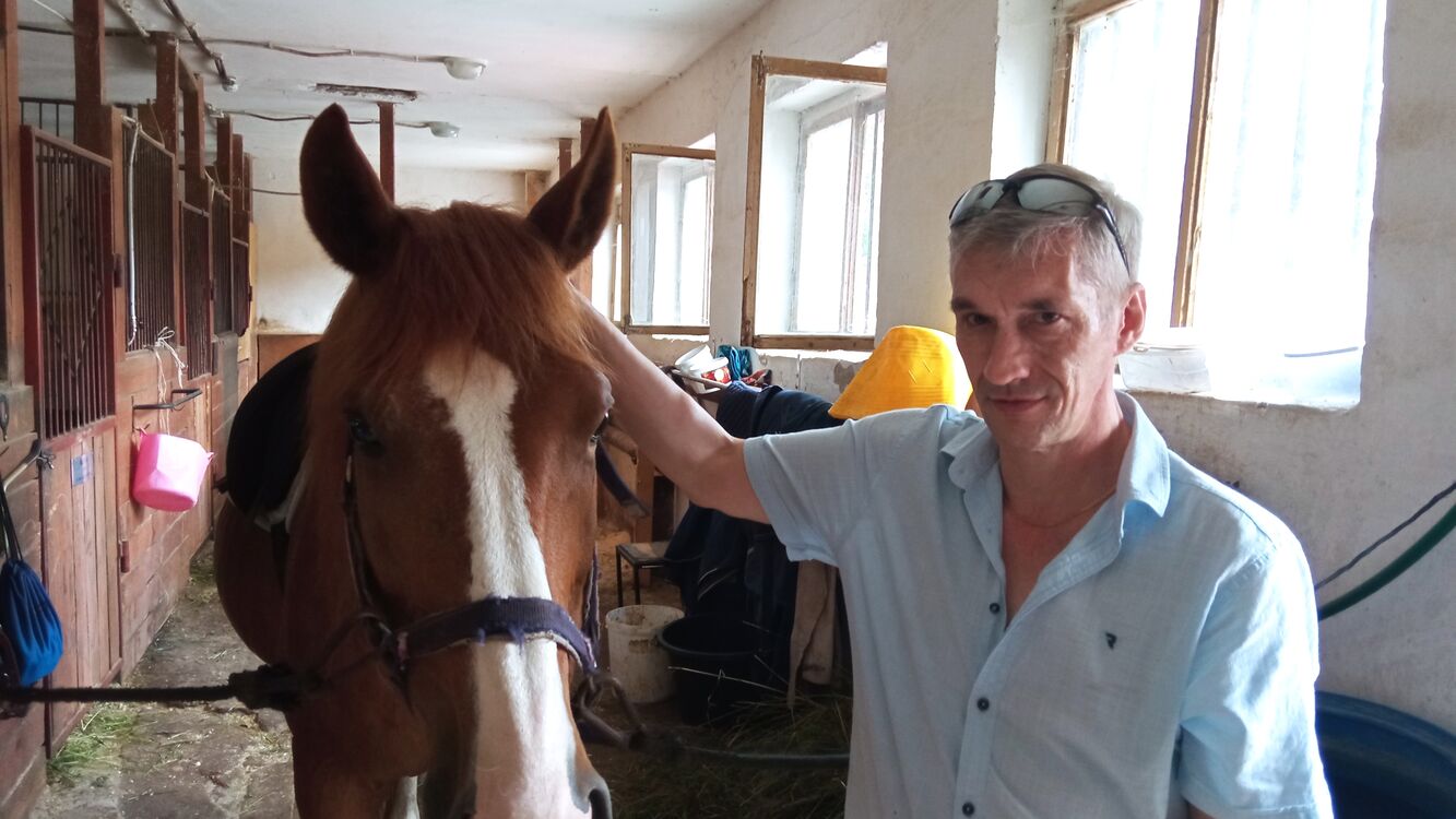  54613973  Graff, 55 ,    