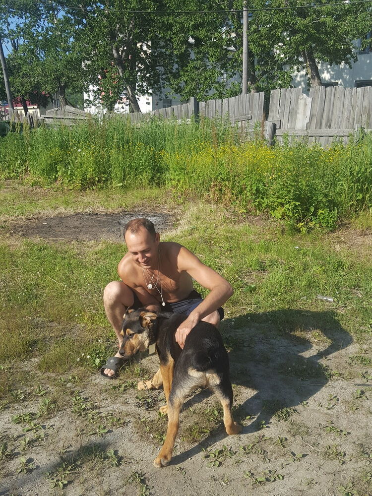  -,   , 52 ,   