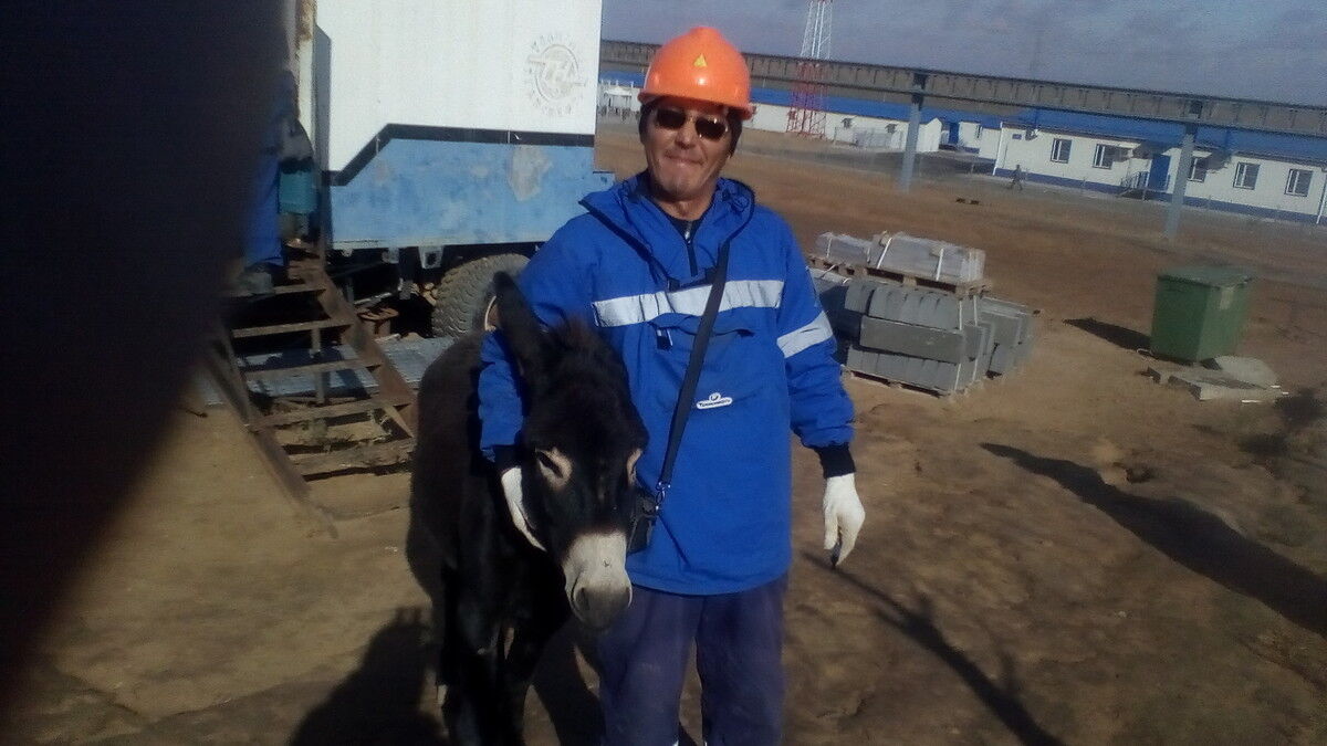 ���������� ���������, ���� ������� Ruslan, 50 ���, ������������ ��� ������, ����� � ���������, c�������� ���������