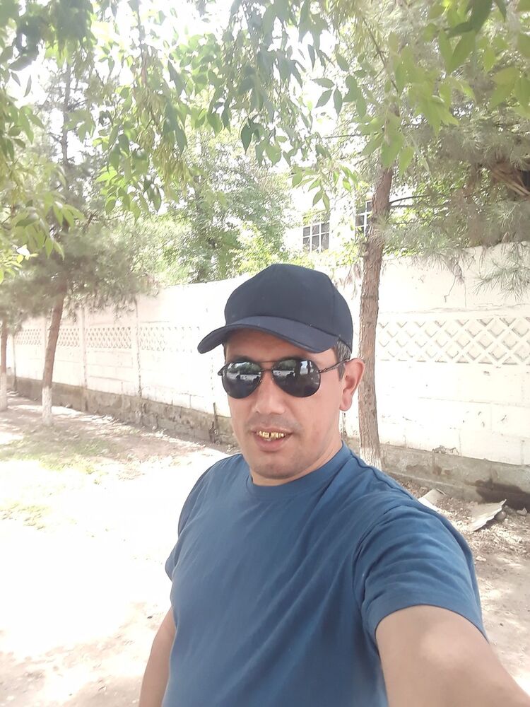  13828393  , 41 ,    