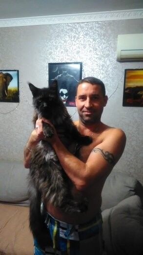  -,   , 45 ,   ,   , c 