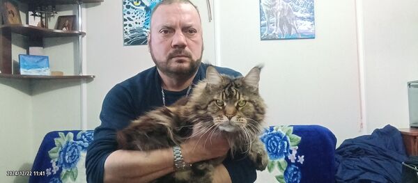  ,   , 53 ,   c , 