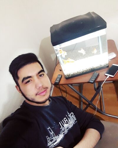  ,   Mahmud, 31 ,   ,   , c 