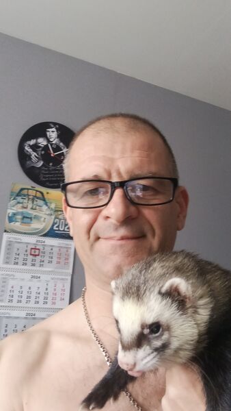  ,   , 51 ,   ,   