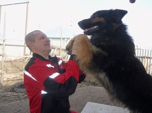 ���������� ��������, ���� ������� �������, 49 ���, ������������ ��� ������, ����� � ���������, c�������� ���������