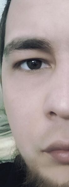  ,   Brutal, 28 ,   ,   , c 